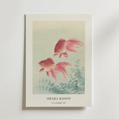 Bozetto Two Veil Goldfish Ohara Koson Poster visar två röda slöjguldfiskar som simmar ovanför vattenväxter i ljusblått vatten, med "OHARA KOSON" och "Two Veil Goldfish, 1926" tryckt under konstverket.