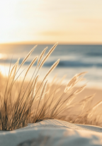 Meadow Beach Feeling Poster