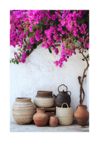 Mediterranean Clay & Bougainvillea Poster