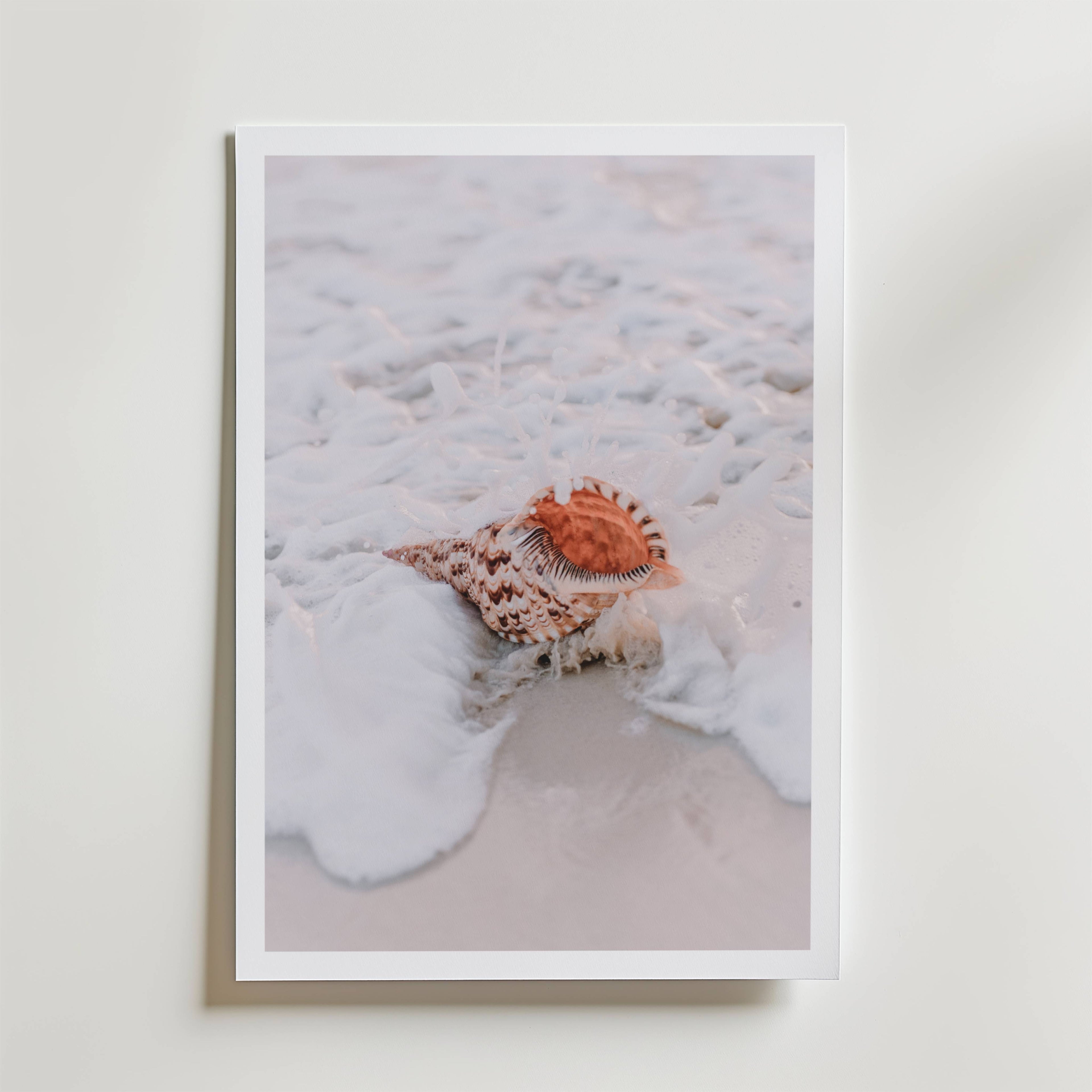 Seashell Mist Poster