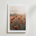 Postern Echoes of Summer Poster by Bozetto föreställer röda vallmor i ett solbelyst fält på FSC-certifierat premiumpapper, centrerad på en vit matta och placerad mot en ljus vägg, vilket framkallar en mjuk, drömsk stämning med mjukt naturligt ljus.
