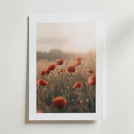 Postern Echoes of Summer Poster by Bozetto föreställer röda vallmor i ett solbelyst fält på FSC-certifierat premiumpapper, centrerad på en vit matta och placerad mot en ljus vägg, vilket framkallar en mjuk, drömsk stämning med mjukt naturligt ljus.