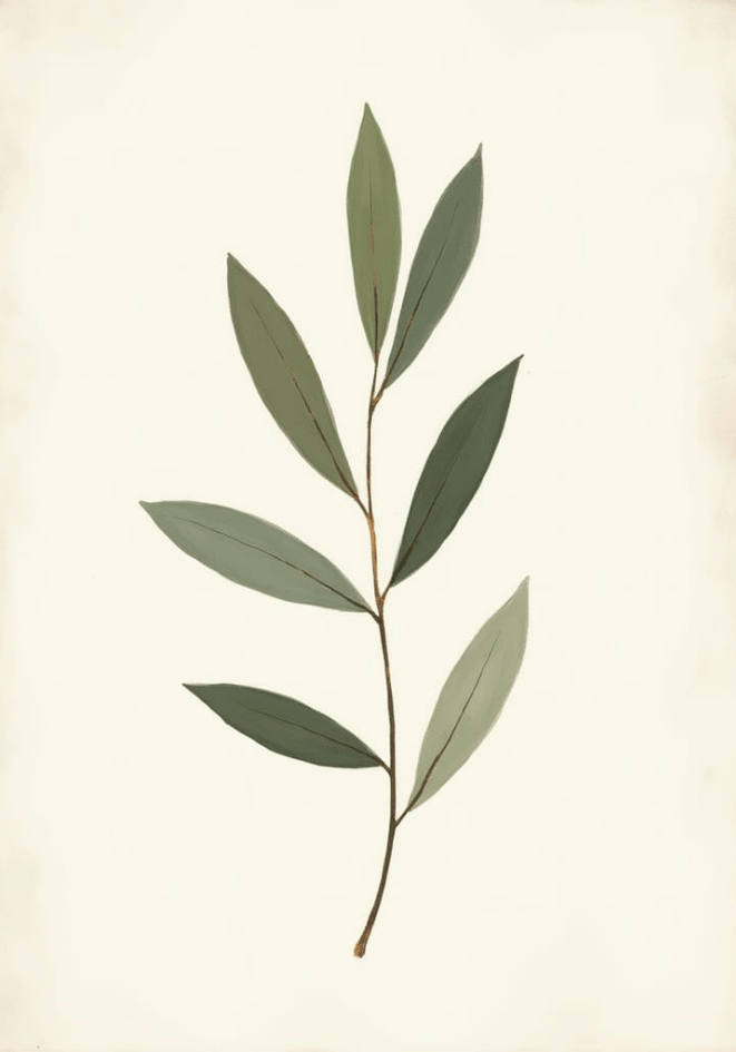 Minimalist Eucalyptus Poster