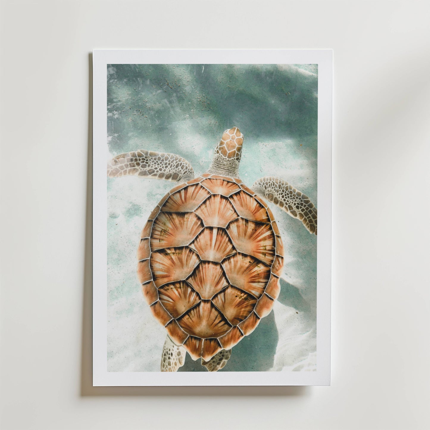 Ocean Turtle Escape Poster