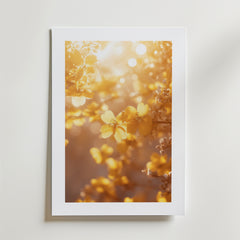 Morning Haze Poster by Bozetto föreställer gula blommor i mjukt solljus med en drömsk oskärpa, placerad i en vit ram på en ljus vägg och tryckt på FSC-certifierat premiumpapper för en högkvalitativ finish.