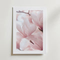 Bozetto Blush Pink in Bloom Poster har fina ljusrosa magnoliablommor i mjukt fokus, vackert tryckt på FSC-certifierat premiumpapper för en högkvalitativ finish, perfekt att visa upp mot en ljus vägg.