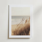 Dune Grass by the Sea Poster" av Bozetto föreställer högt, gyllene gräs på sanddyner med ett suddigt hav och himmel. Postern är tryckt på FSC-certifierat premiumpapper och de mjuka, dämpade tonerna framkallar en lugn och fridfull stämning.