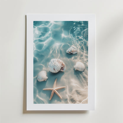 Bozetto Starfish and Shells Beach Poster föreställer snäckskal och en sjöstjärna i solig sand, tryckt på FSC-certifierat premiumpapper med en vit kant, som kan hängas upp på en ljus vägg.