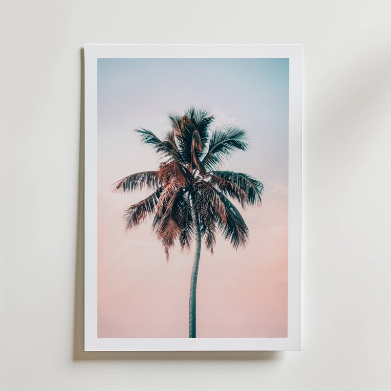 Sunset Palm Dream Poster