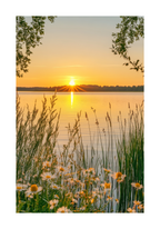 Golden Hour By The Lake Poster