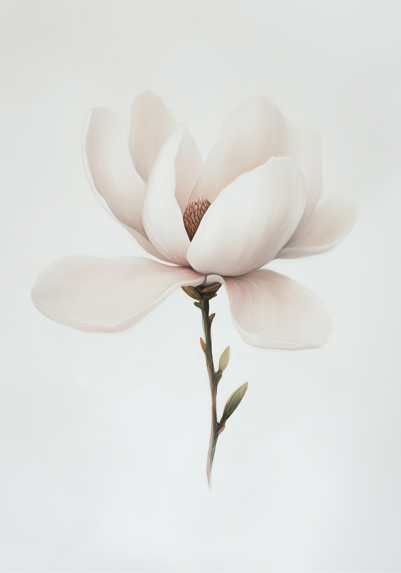 Minimalist magnolia Poster