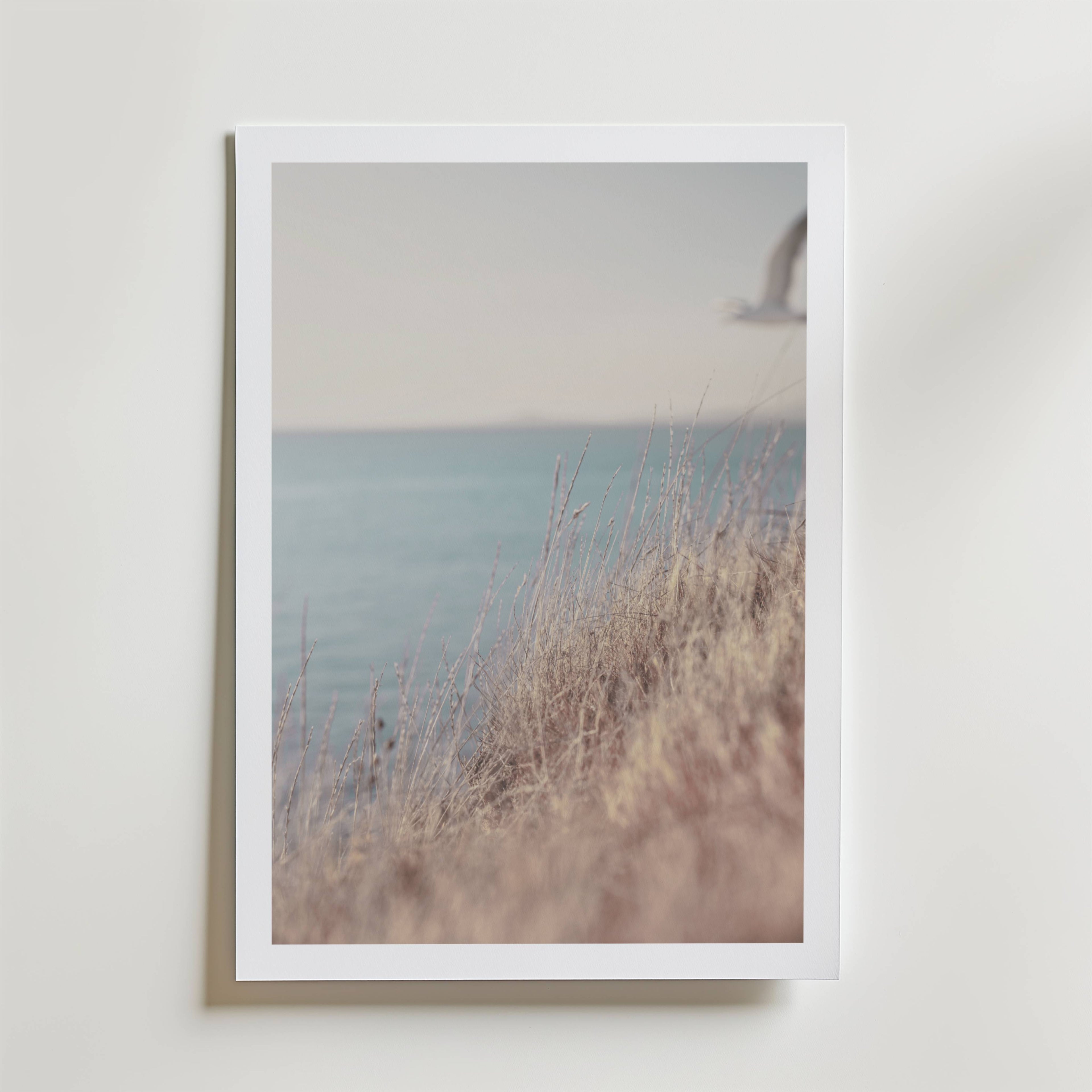 Soft Coastline Breeze Poster
