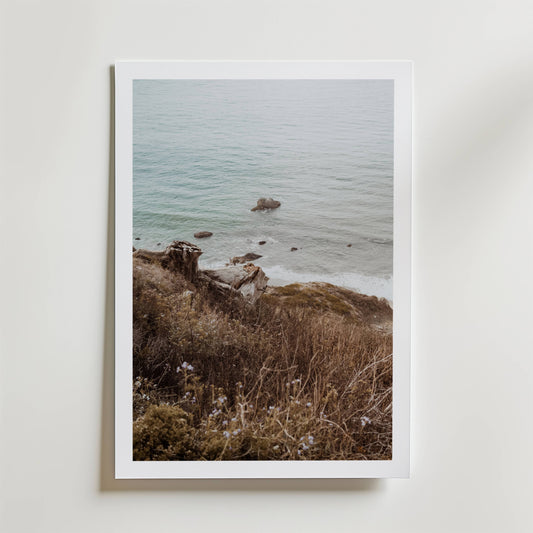 Wild Coastline Vista Poster