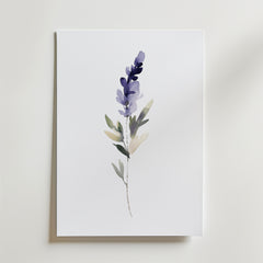 Bozetto Watercolor lavender Poster föreställer en minimalistisk lavendelkvist med gröna blad på vit botten, tryckt på FSC-certifierat premiumpapper med en lyxigt matt yta, vackert upphängd på canvas.