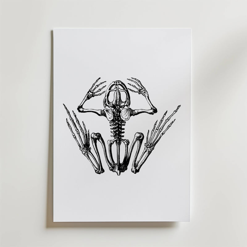 Bozetto Silent Scream Skeleton Poster har en dramatisk svartvit teckning av ett grodskelett med utsträckta lemmar, där skalle, revben och ryggrad visas tydligt på en vit bakgrund.