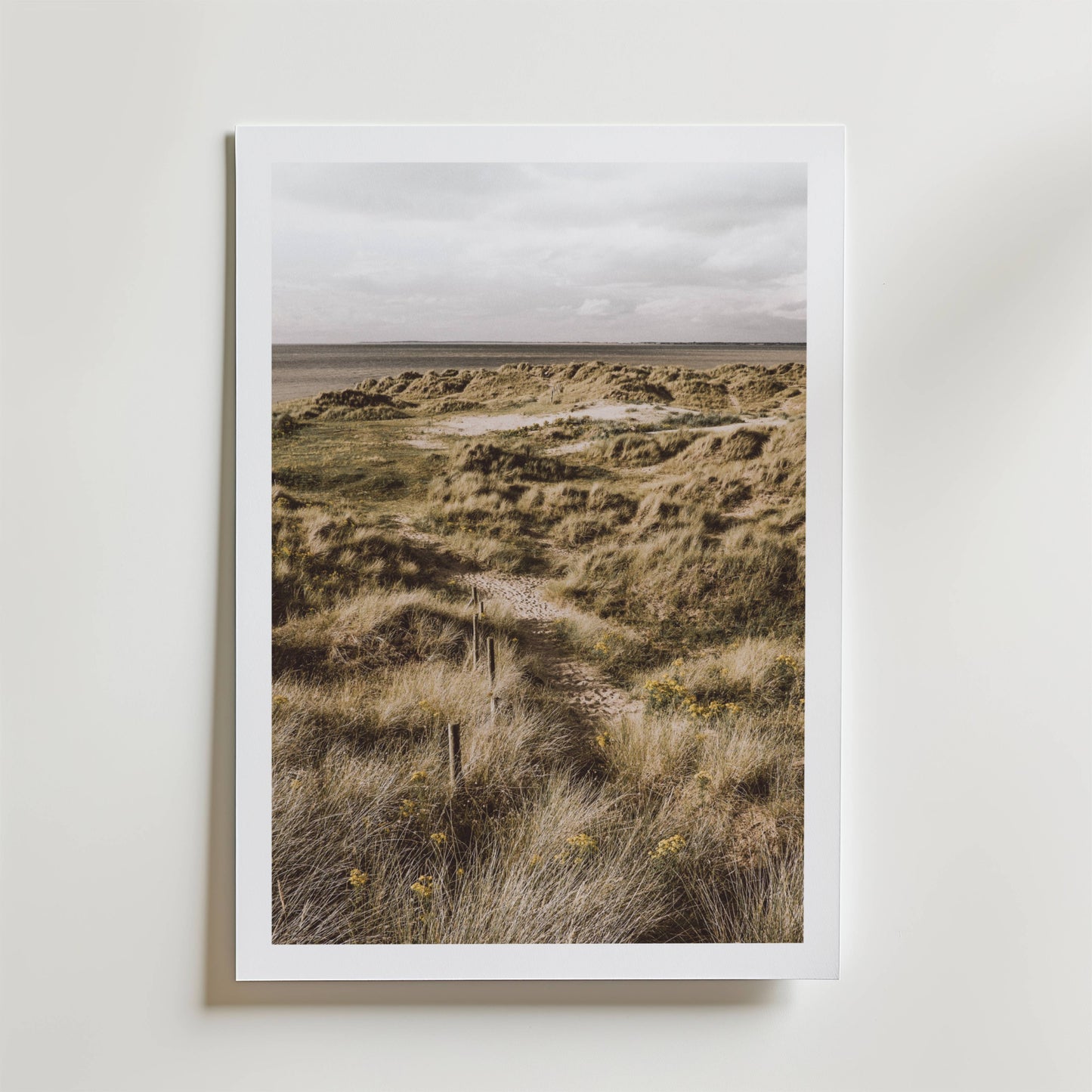 Coastal Dunes Path Poster