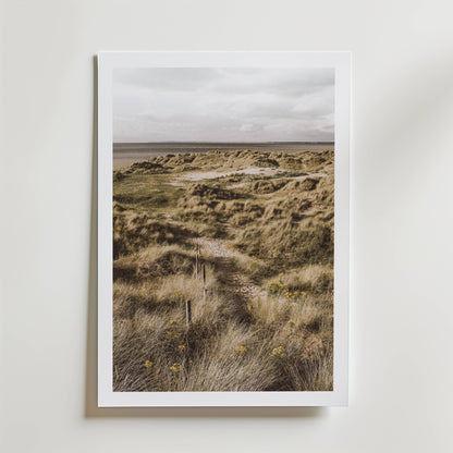Coastal Dunes Path Poster