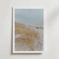 Windy Coast Dunes Poster