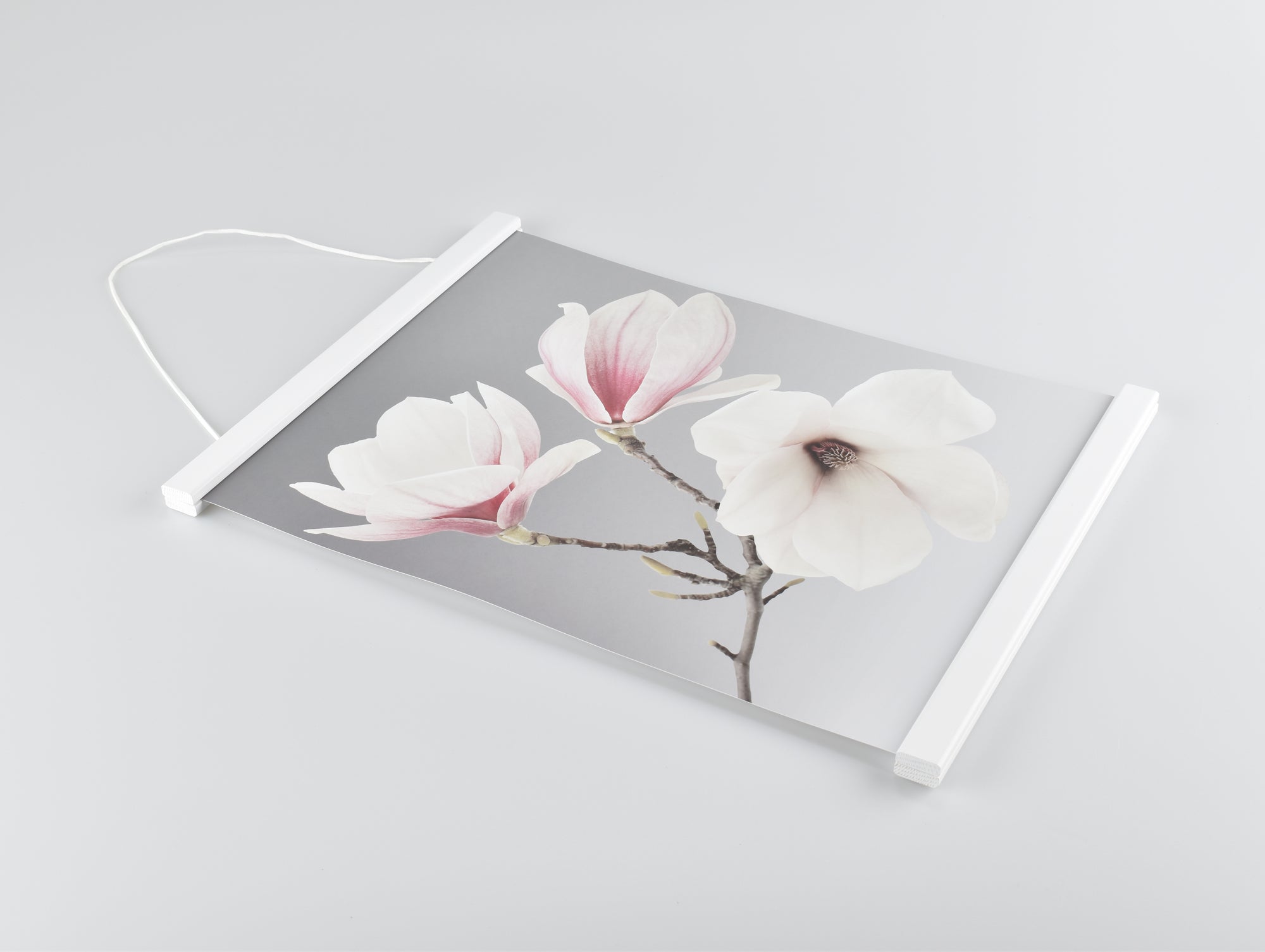 Posterhängare Vit Ek med magnet