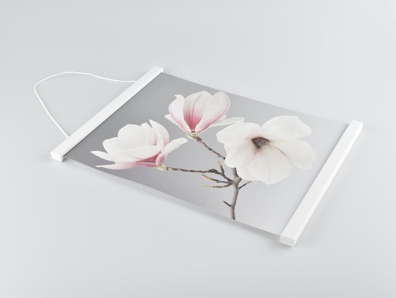 Posterhängare Vit Ek med magnet