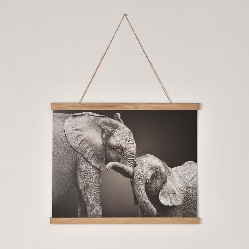 Posterhängare Ek med magnet