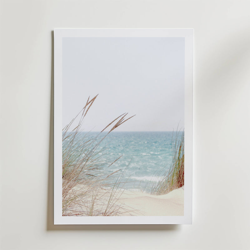 Coastal Breeze Dunes Poster