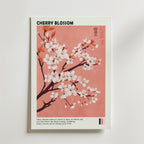 Postern Whispers of Sakura Poster by Bozetto visar körsbärsblommande grenar med vita och rosa blommor på en mjuk rosa bakgrund. "CHERRY BLOSSOM" står det överst och japansk estetik hedras med en kort beskrivning nedan.