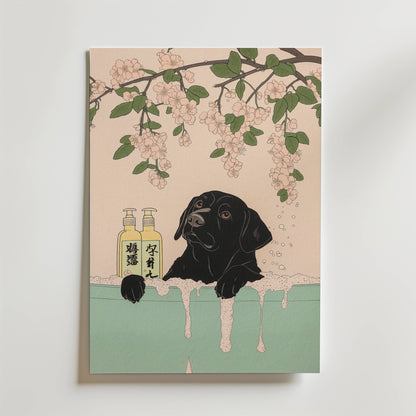 Labrador In Blossom Bath Poster