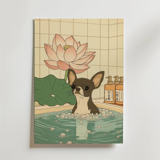 Chihuahua In Lotus Spa Poster
