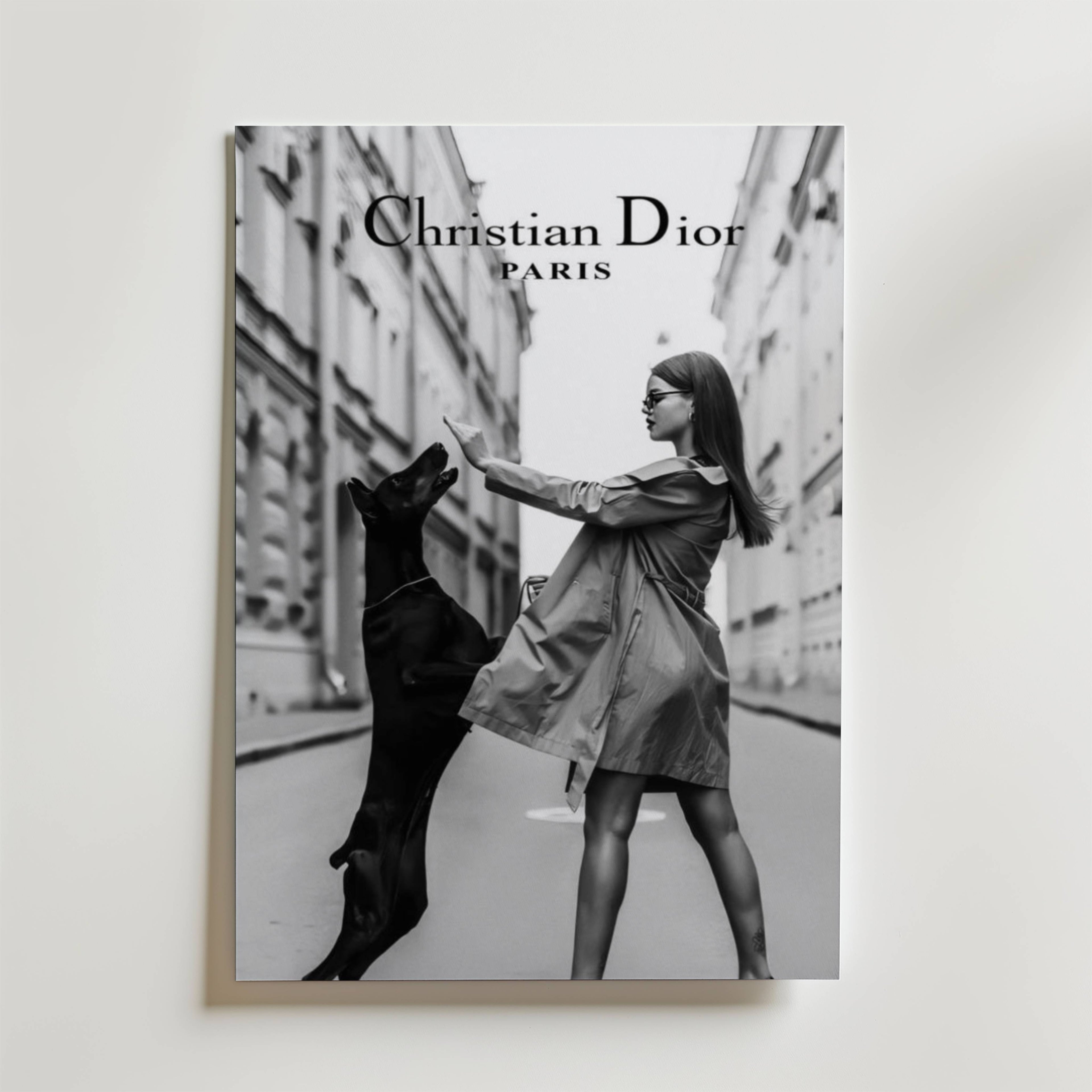Christian Dior Paris Poster