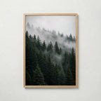 Misty Pine Forest Poster