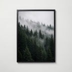 Misty Pine Forest Poster