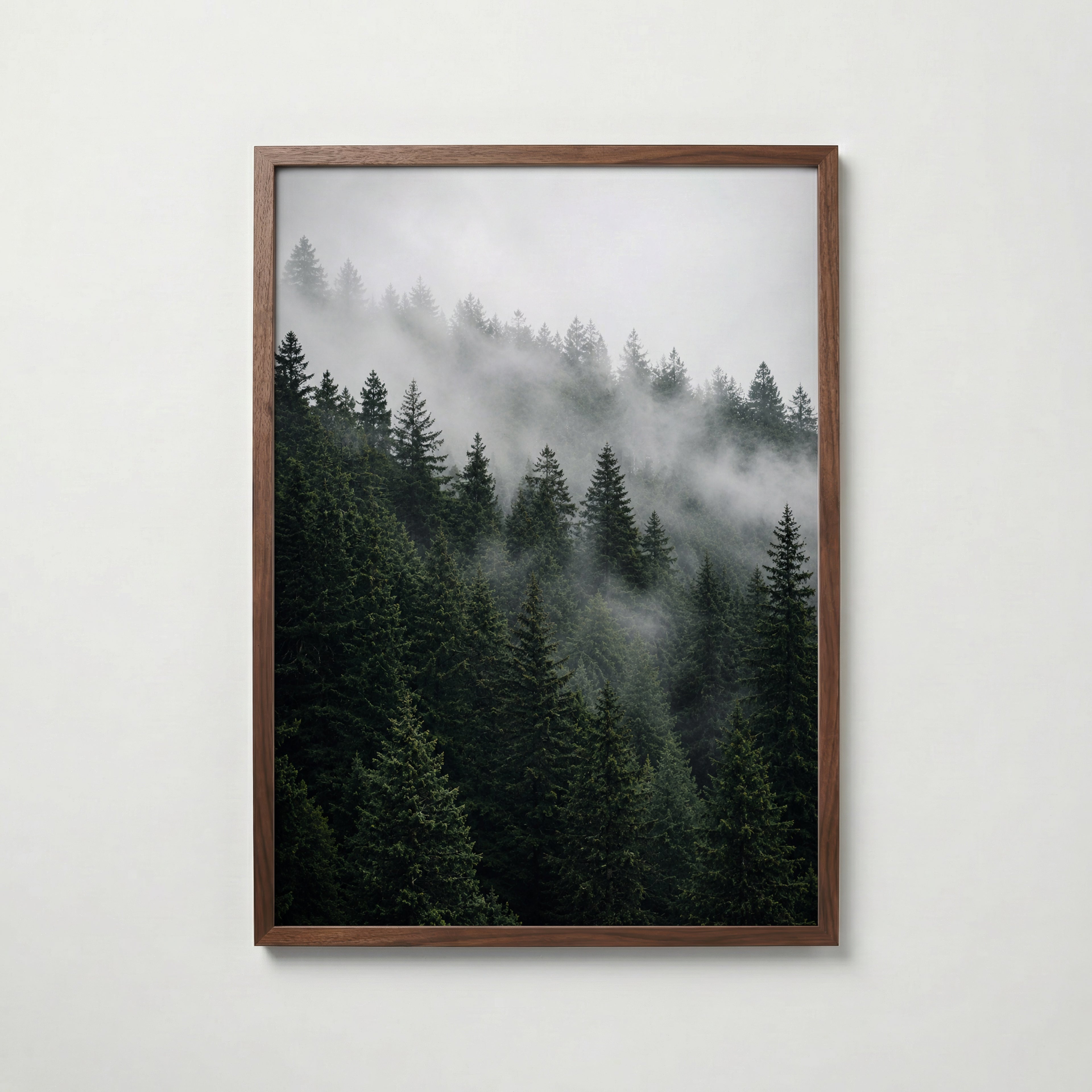 Misty Pine Forest Poster