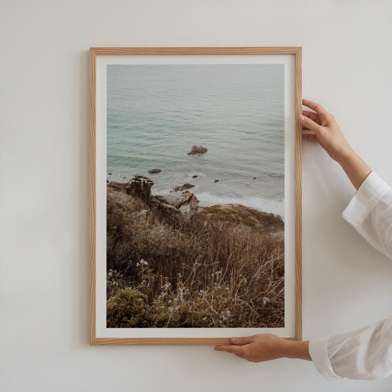 Wild Coastline Vista Poster