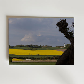 Skåne Covered in Yellow Poster – rapslandskap med vit kyrka och dramatisk himmel