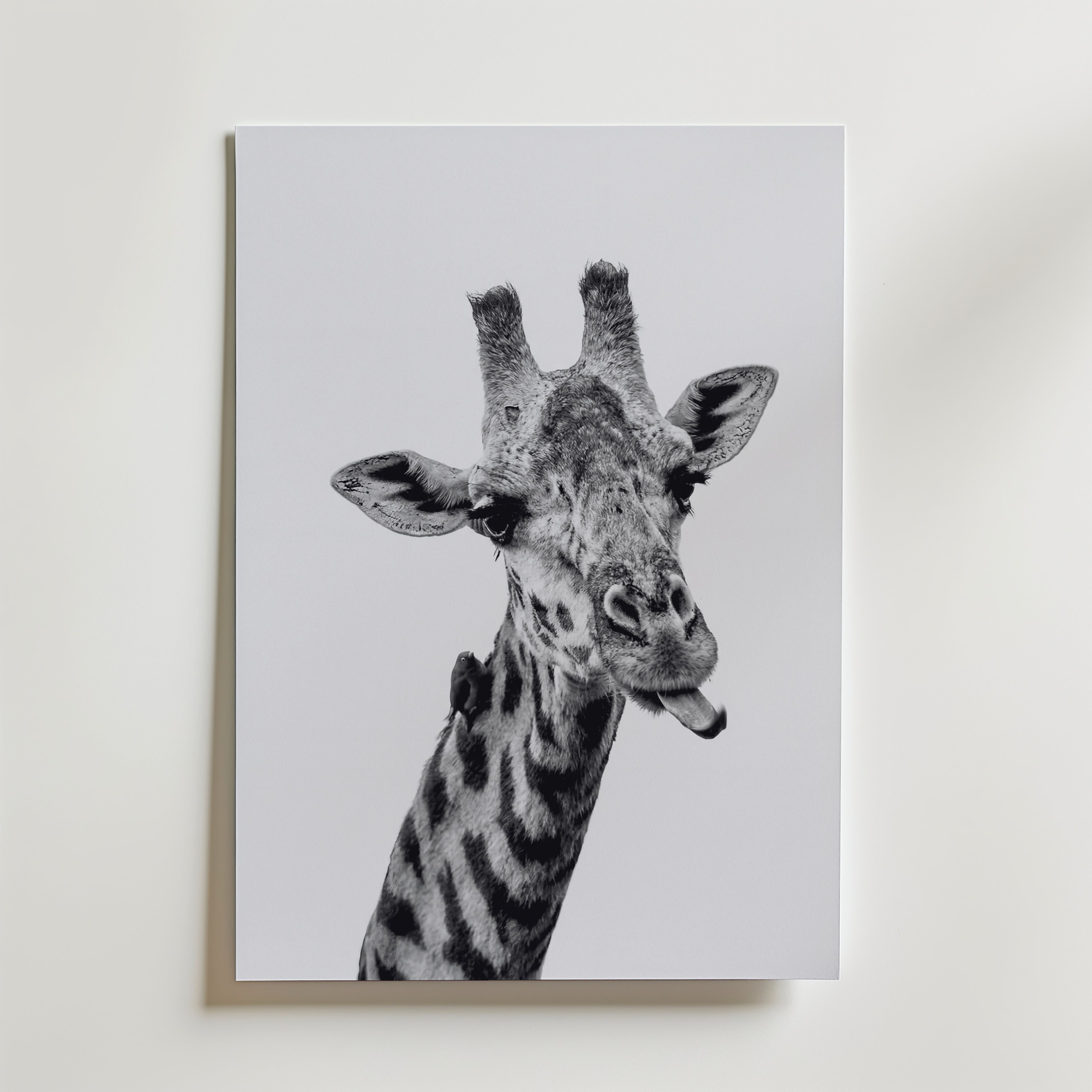 Cheeky Giraffe Poster – canvas utan passepartout