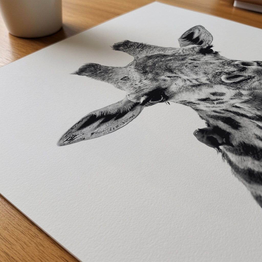 Cheeky Giraffe Poster – närbild på papper