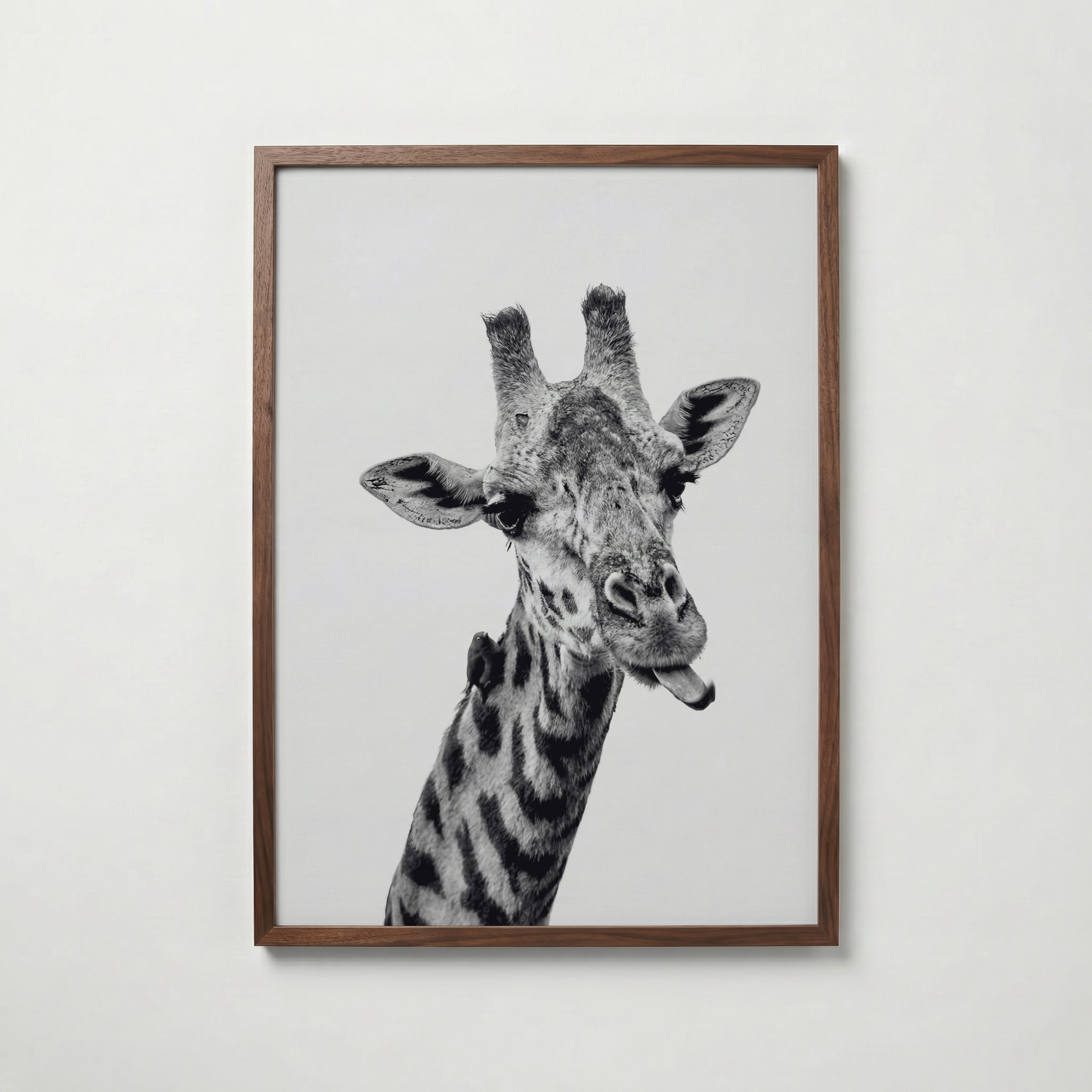 Cheeky Giraffe Poster – valnötsram