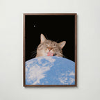Cosmic Lick Poster – valnötsram