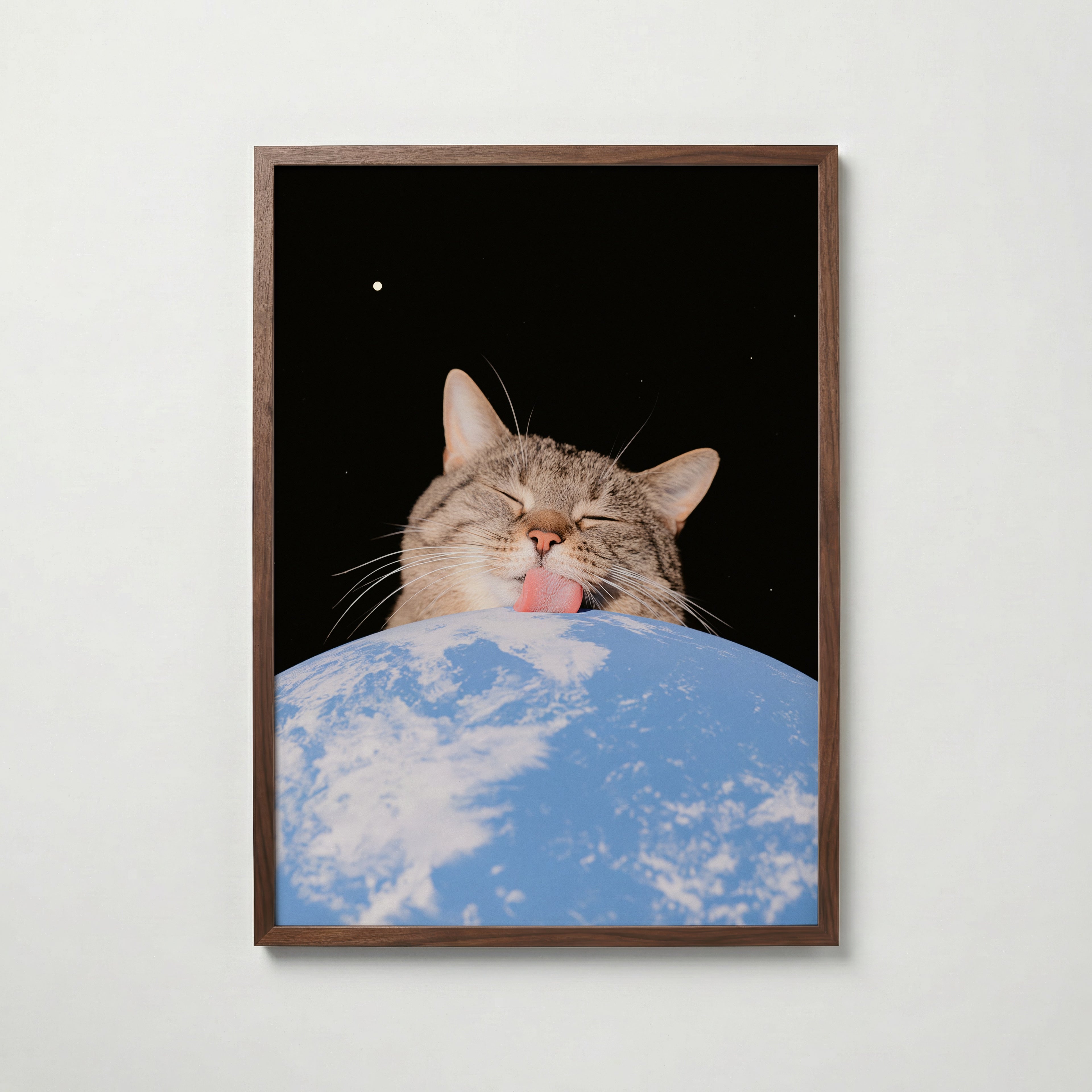 Cosmic Lick Poster – valnötsram