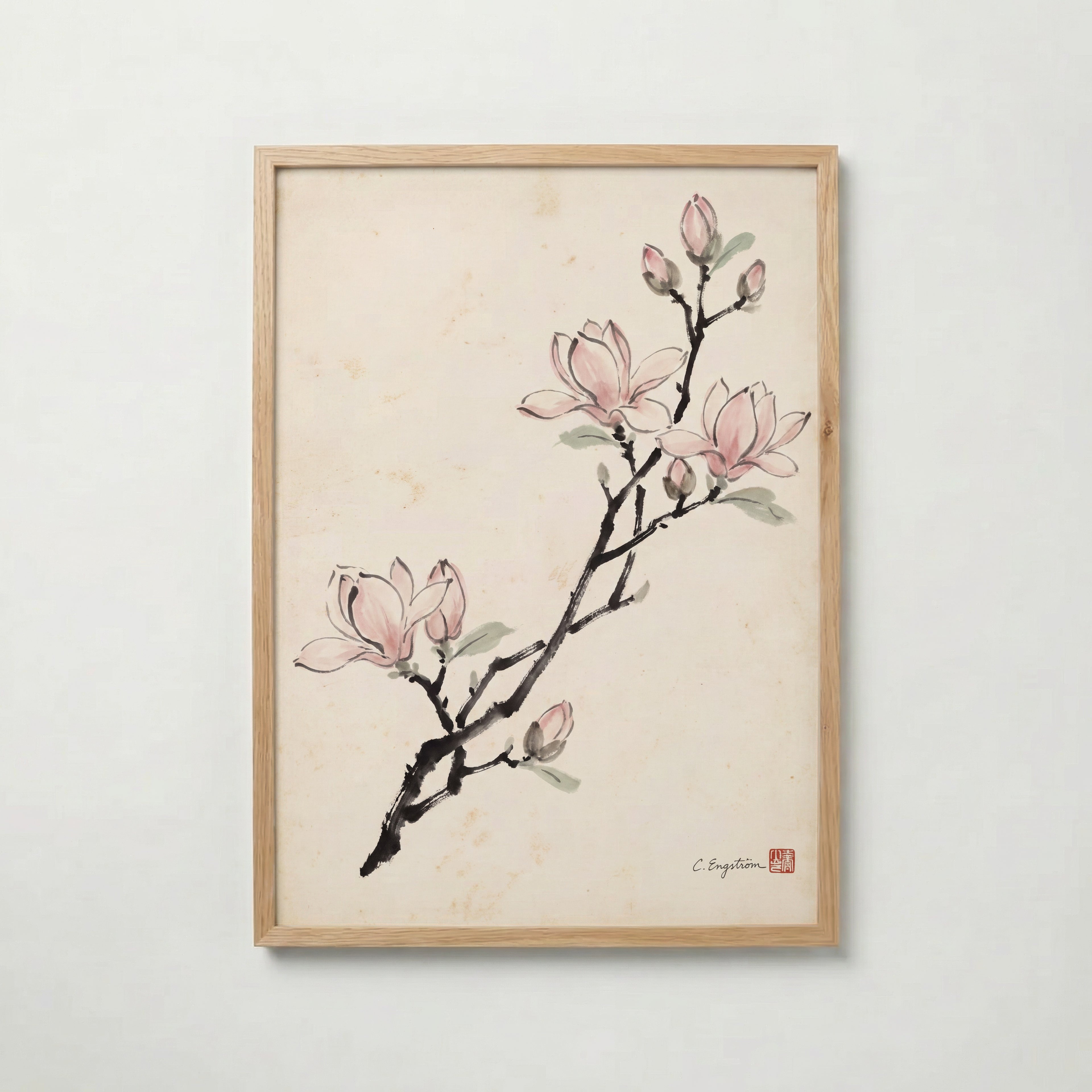 Magnolia By Caroline Engström – ekram