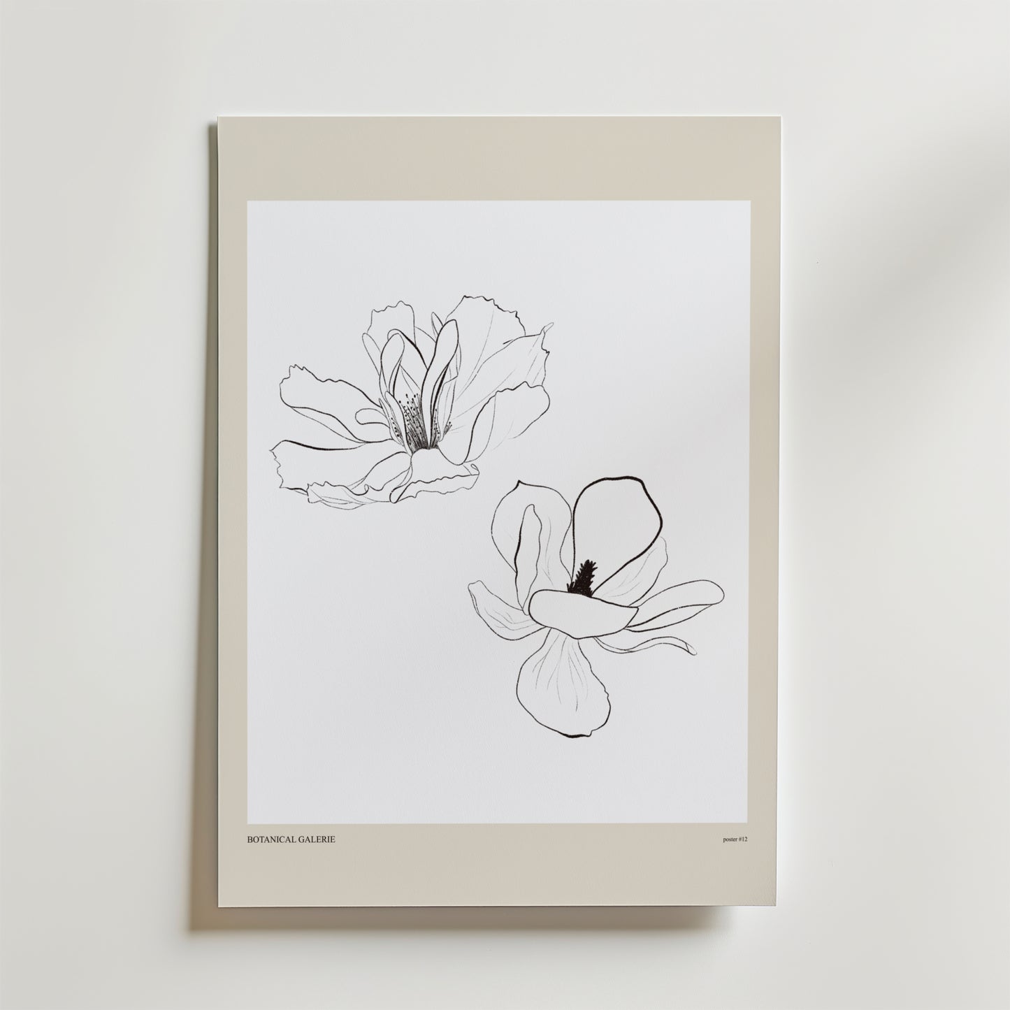 Airborne Grace Poster by Bozetto visar två svartvita magnolia linjeteckningar på en vit bakgrund med en beige kant - ett elegant val för fans av botanisk inredning och skandinaviska interiörer.