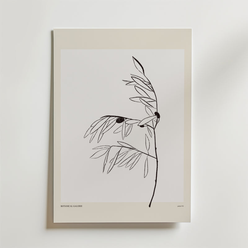 Olive Whisper Poster by Bozetto är en minimalistisk botanisk konstprint med en tunn svart stam, smala blad och två mörka cirklar på en vit bakgrund med en ljusbeige kant. "BOTANICA GALLERIE" är tryckt längst ner.