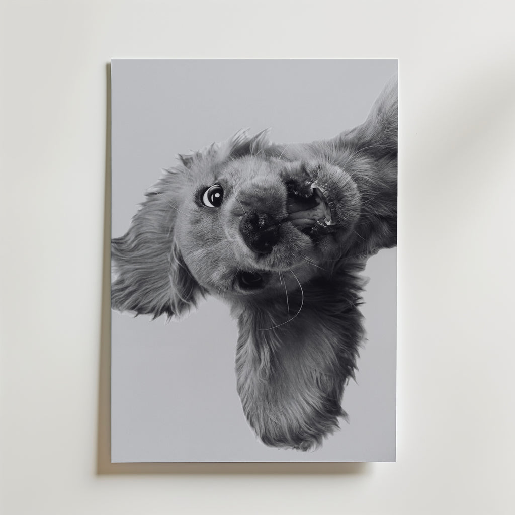 Puppy Play Poster – canvas utan passepartout