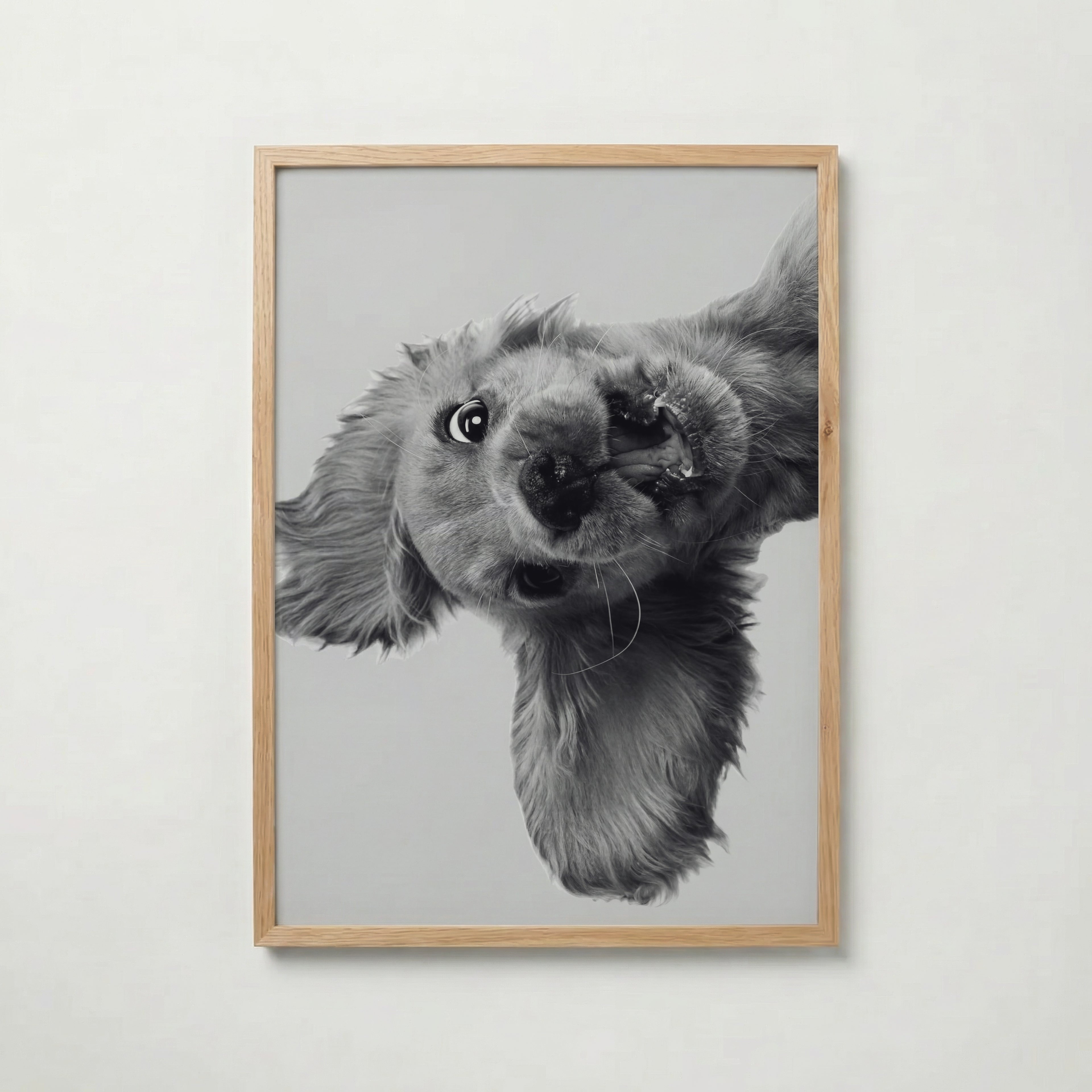 Puppy Play Poster – ekram
