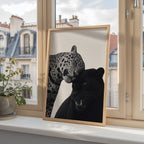 Spots and Shadow Poster – i rum 2