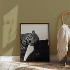Spots and Shadow Poster – i rum 4