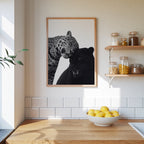 Spots and Shadow Poster – i rum 5