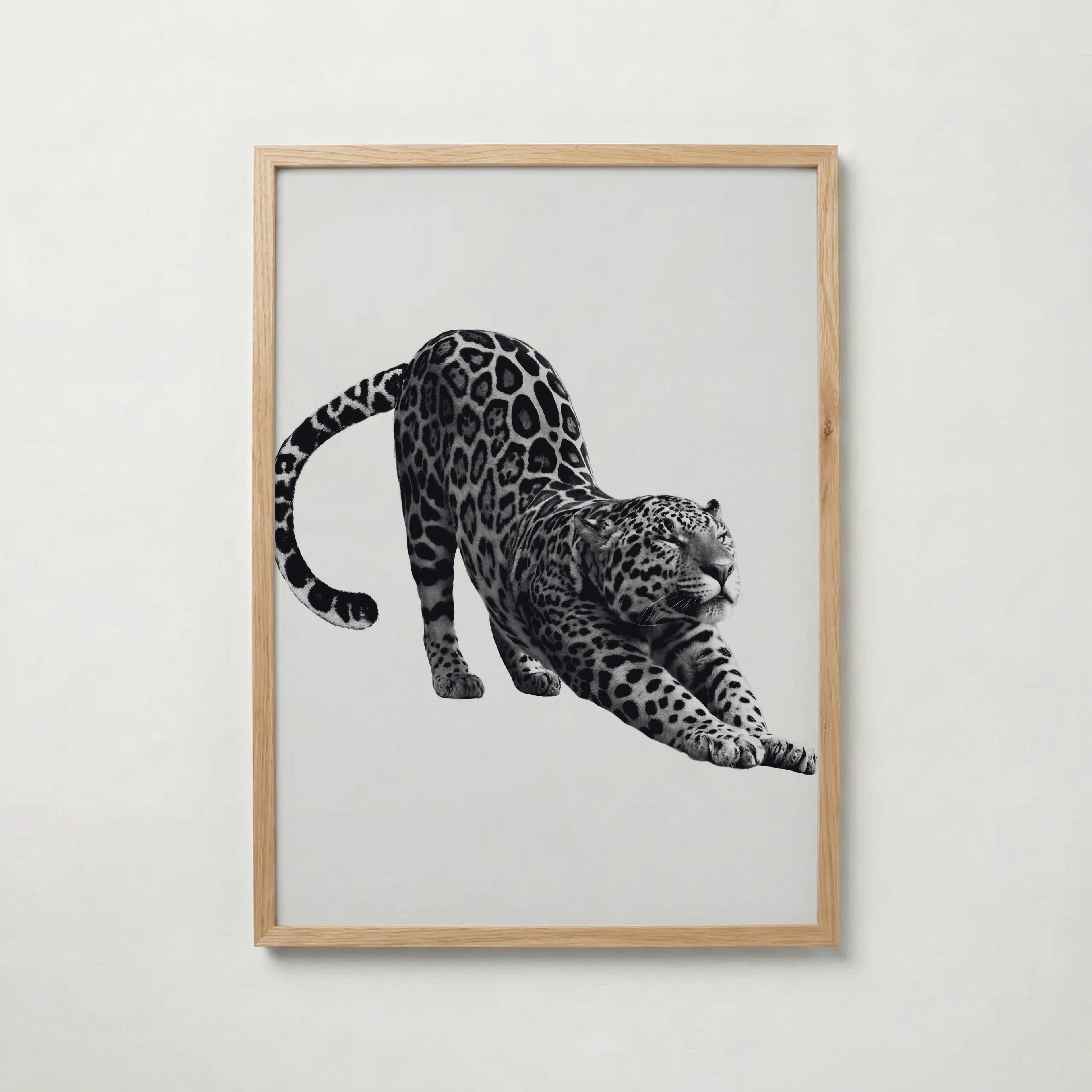 Stretching Leopard Poster – ekram